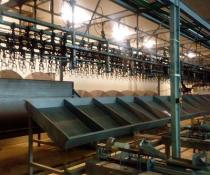poultry processing packing
