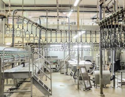 used poultry processing line